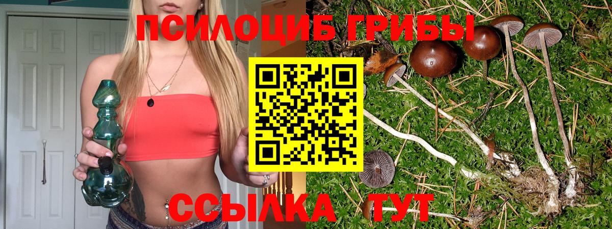 Галлюциногенные грибы прущие грибы Лениногорск